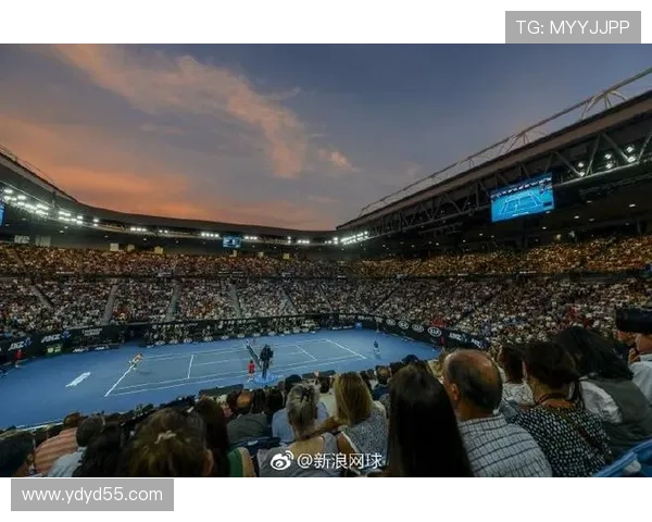 澳网冠军争夺战现场直播,见证历史性荣耀时刻